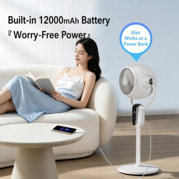 wholesale-standing-fan-rechargeable-bldc-air-circulator-1
